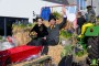 Thumbs/tn_Boerenbruiloft 2019 129.jpg